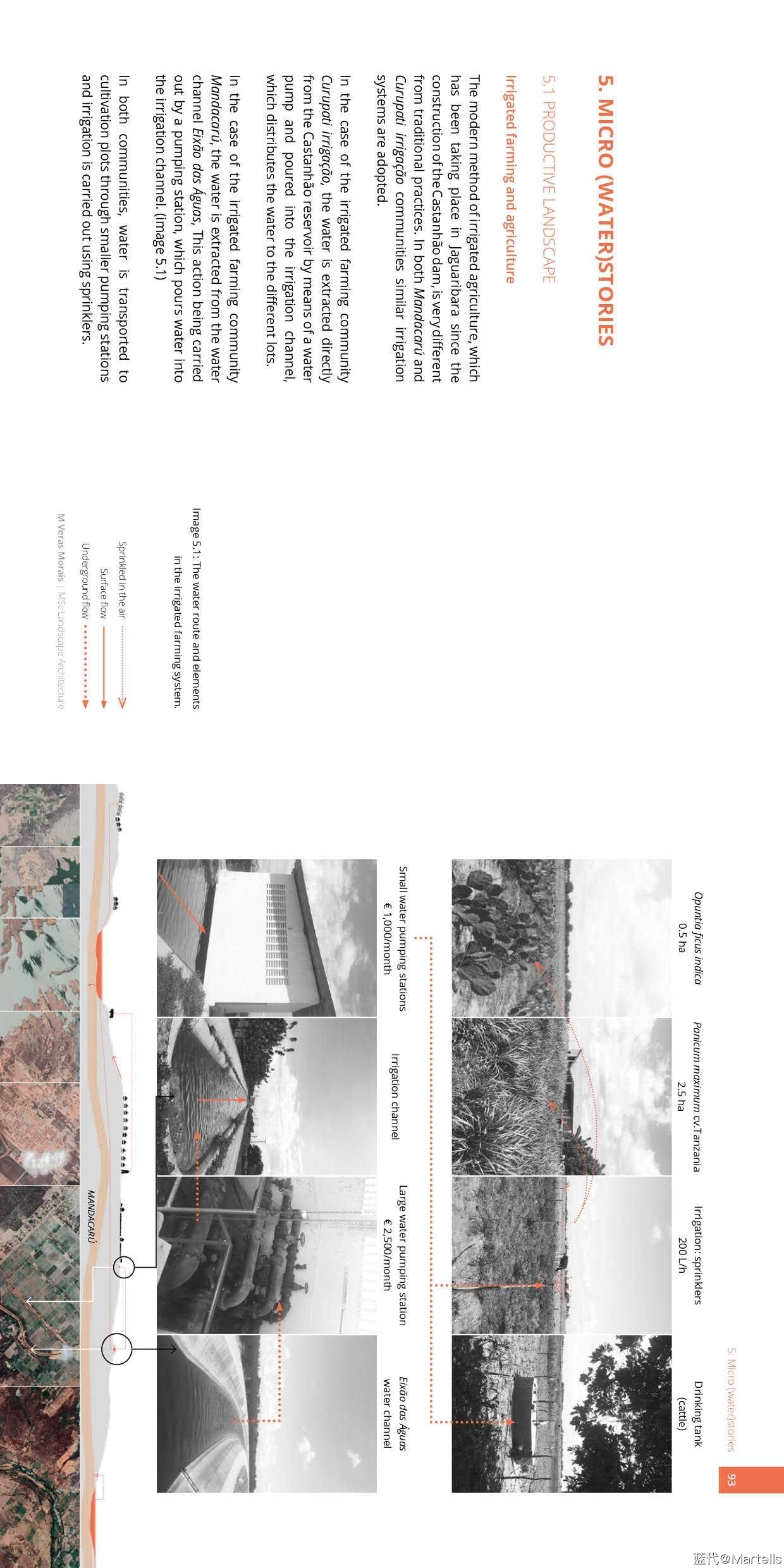 4932595_MVerasMorais_Thesis_47.jpg