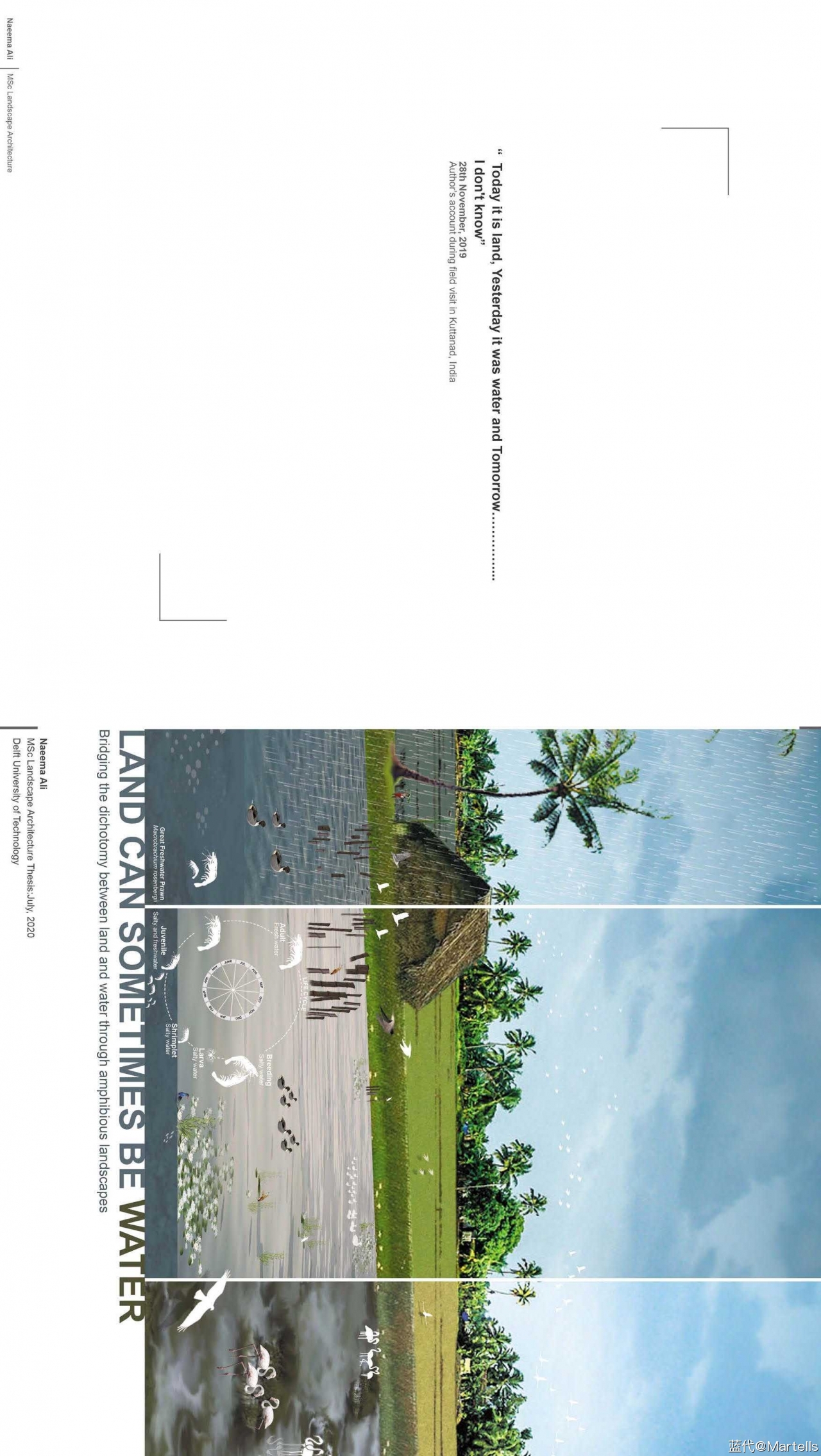 4910850_NaeemaAli_Report_1.jpg