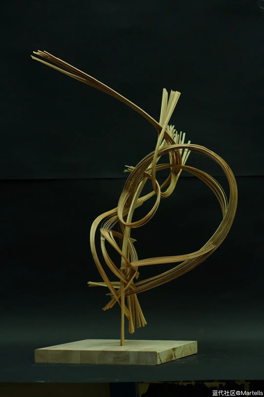 合肥工业大学2024年环境设计本科毕业作品展